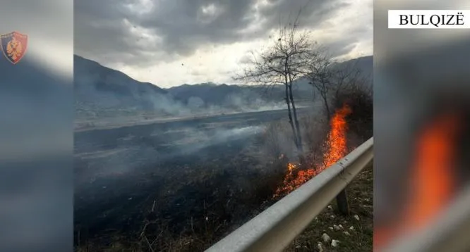 Ndezën zjarr në një sipërfaqe toke dhe dogjën 7 dynym bimësi, procedohen dy persona në Bulqizë