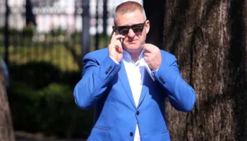 ‘Nën hijen e kumbullës, fikut dhe Berishës, askush nuk rritet, as edhe kastraveci’