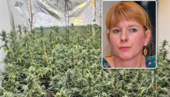 “Nëna ime e apasionuar pas luleve”, dëshmitë në Gjyktën belge, dënohen 3 shqiptarët për kanabisin