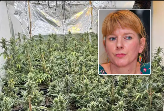 “Nëna ime e apasionuar pas luleve”, dëshmitë në Gjyktën belge, dënohen 3 shqiptarët për kanabisin