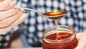 Nga ai i tërfilit te i shqopës, zbuloni llojet e mjaltit dhe përfitimet e secilit për shëndetin