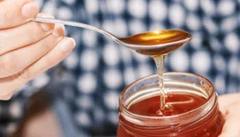 Nga ai i tërfilit te i shqopës, zbuloni llojet e mjaltit dhe përfitimet e secilit