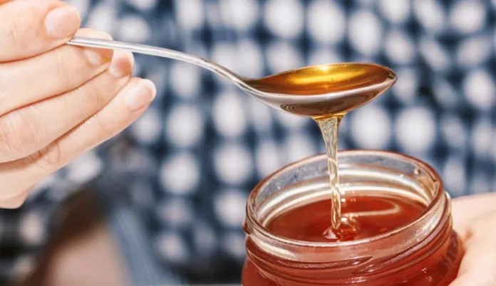 Nga ai i tërfilit te i shqopës, zbuloni llojet e mjaltit dhe përfitimet e secilit