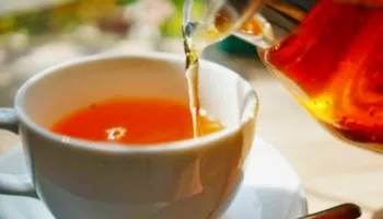 Një filxhan nga ky çaj konsiderohet “ilaç” për trupin