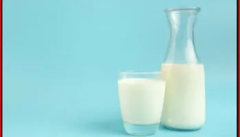 Një gotë qumësht në ditë ul rrezikun e goditjes në tru