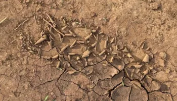 Parashikimi i motit, në stilin Turkana: Zorrët e një dhie…- tregojnë gjithçka!