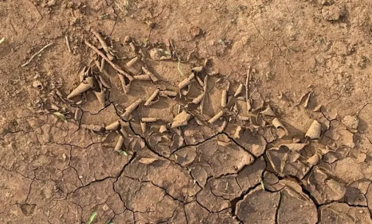 Parashikimi i motit, në stilin Turkana: Zorrët e një dhie…- tregojnë gjithçka!