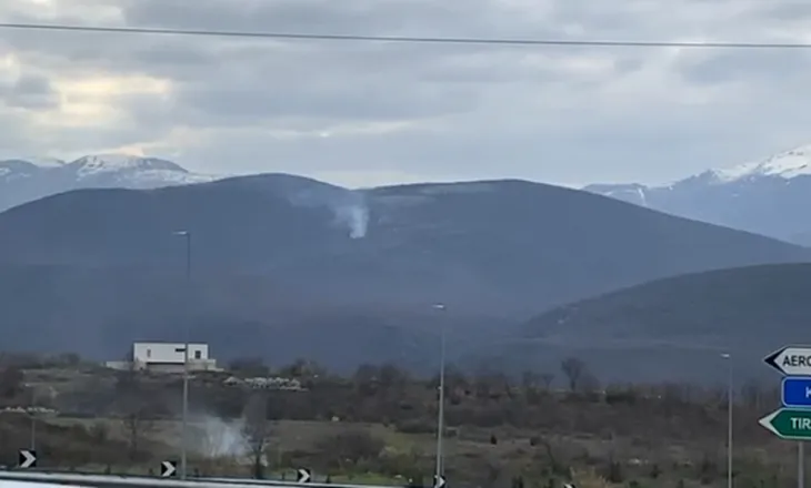 Përfshihet nga zjarri masivi pyjor në Kukës, era favorizon përhapjen e flakëve