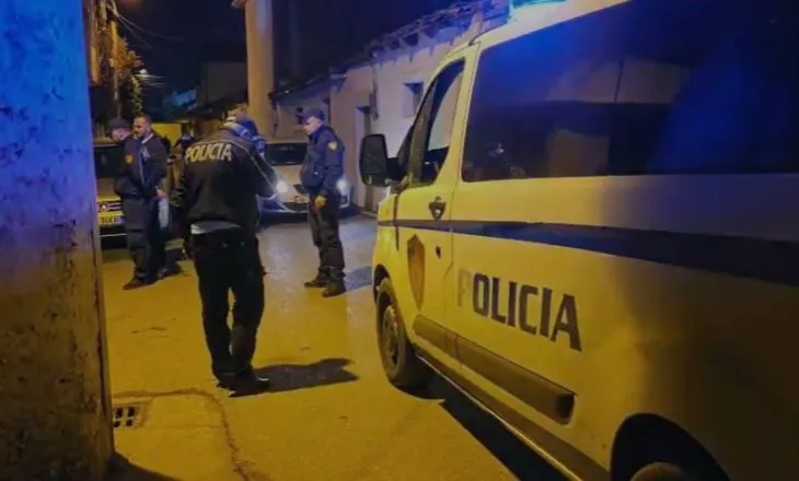 Plagosje me armë zjarri, Policia jep detajet