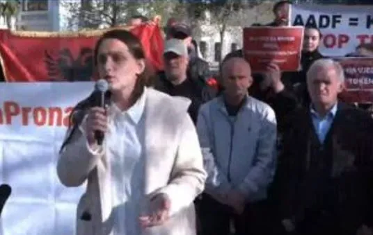 “Po na vjedhin tokën”/ Banorët e Rrjollit, protestë me pankarta në duar përpara Kuvendit: Nuk do ju lejojmë të na…