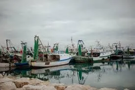 Porti i Ri i Durrësit basen për të gjuajtur bretkoca, jo portë e korridorit 8