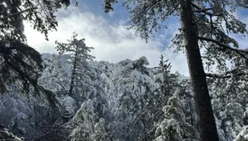 Pranverë me dëborë/ Malësia e Krujës ‘vishet’ nga bardhësia e dëborës, pamjet mbreslënëse nga Qafshtama