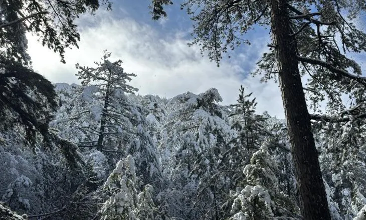 Pranverë me dëborë/ Malësia e Krujës ‘vishet’ nga bardhësia e dëborës, pamjet mbreslënëse nga Qafshtama