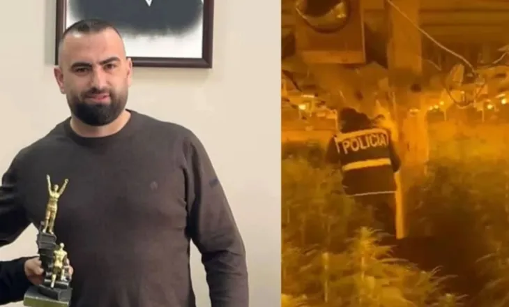 ‘Prej muajsh nuk kam shkuar atje’/ Çfarë deklaroi drejtori i Burgut të Rrogozhinës për 400 bimët kanabis