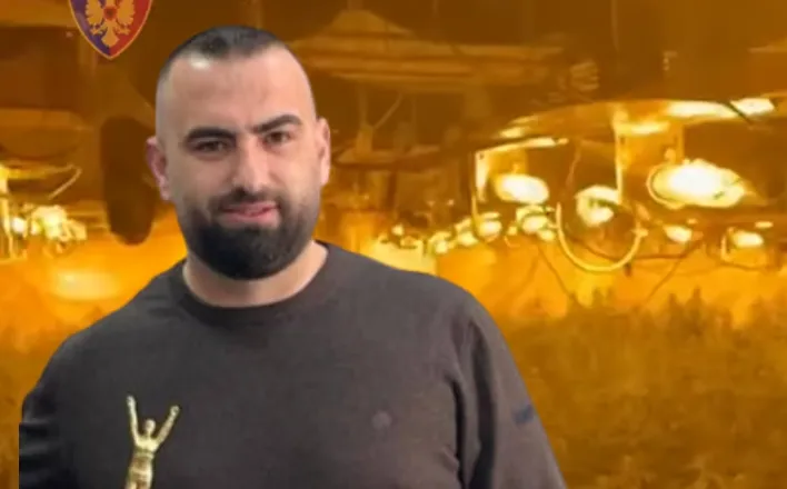 Publikohen pamjet nga magazina e drejtorit të burgut të Rrogozhinës, ja si funksiononte laboratori i sofistikuar i drogës me 4 mijë rrënjë kanabis në Peqin