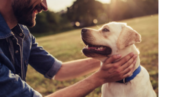 Qentë u bënë miqtë më të mirë të njeriut shumë më herët sesa mendohej