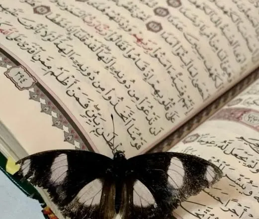 Rama: GËZUAR FITËR BAJRAMIN!