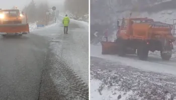 Reshje bore në pranverë, Dardha “zgjohet” nën petkun e bardhë