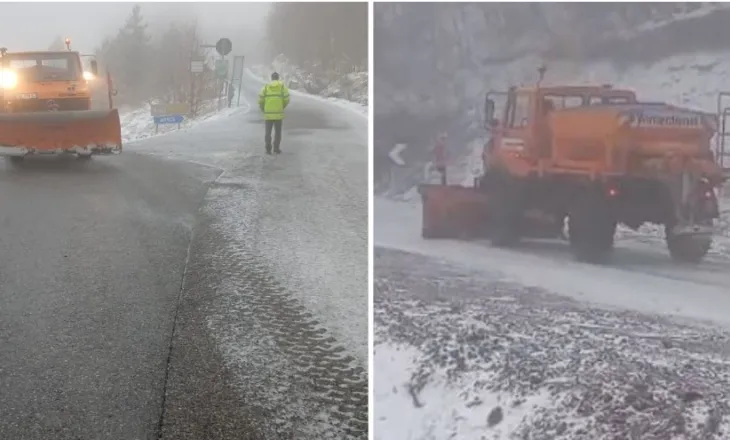 Reshje bore në pranverë, Dardha “zgjohet” nën petkun e bardhë