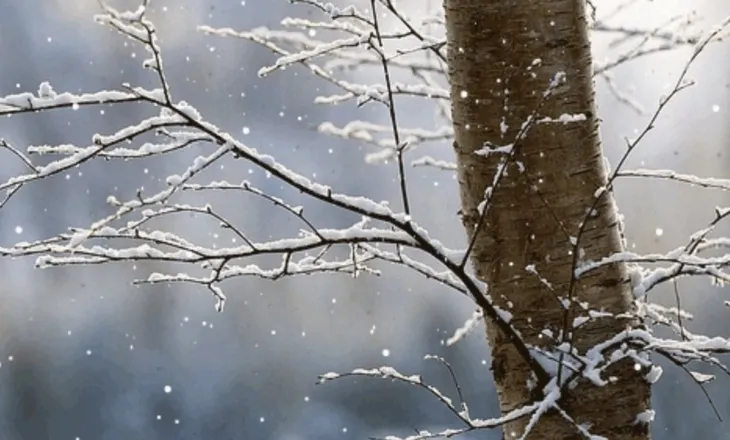 Reshje shiu dhe dëbore, si parashikohet moti për këtë të shtunë