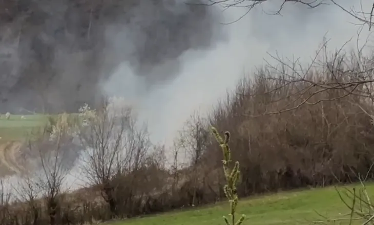 Rikthehen zjarret në Bulqizë, flakët përfshijnë zonën e Krajkës