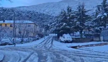 ‘Rikthehet dimri’/ Dëbora “pushton” zonat malore të Elbasanit, deri në 25 cm trashësi në disa fshatra