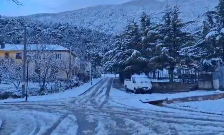 ‘Rikthehet dimri’/ Dëbora “pushton” zonat malore të Elbasanit, deri në 25 cm trashësi në disa fshatra