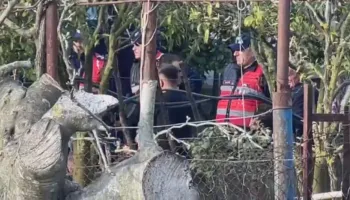 Roskovec, çifti varroset veçmas, fëmijët “lënë babanë” në morgun e Fierit