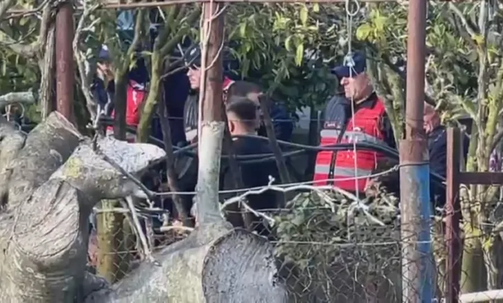 Roskovec, çifti varroset veçmas, fëmijët “lënë babanë” në morgun e Fierit