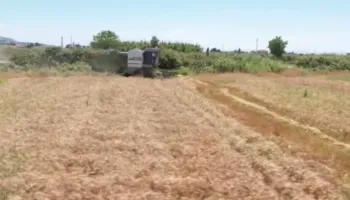 Rriten kostot në bujqësi, plehrat kimike dhe nafta shtrenjtojnë prodhimin bujqësor