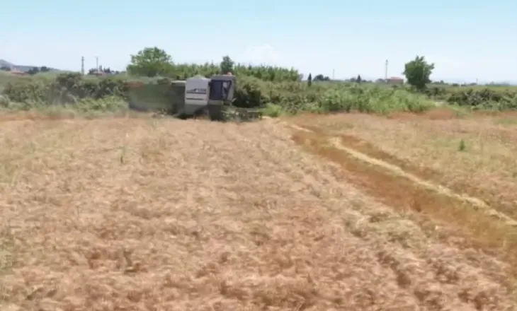 Rriten kostot në bujqësi, plehrat kimike dhe nafta shtrenjtojnë prodhimin bujqësor