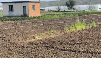 Rritja e çmimit të naftës godet bujqësinë, fermerët kërkojnë ndërhyrje nga shteti