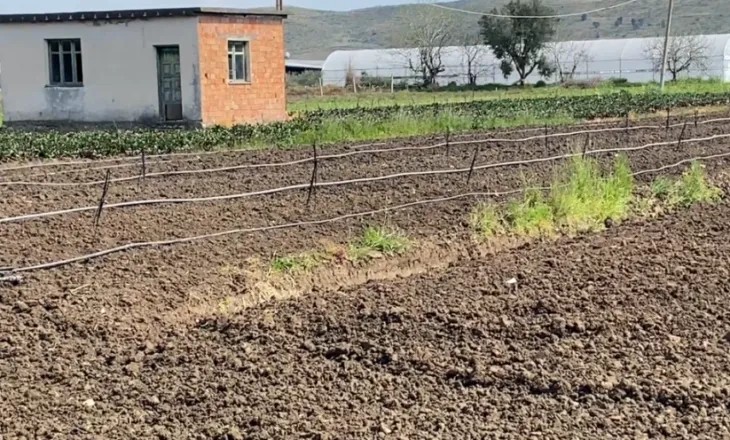 Rritja e çmimit të naftës godet bujqësinë, fermerët kërkojnë ndërhyrje nga shteti