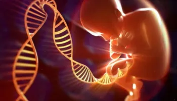 Sëmundjet gjenetike që mund të zbulohen nga analizat në shtatzëni