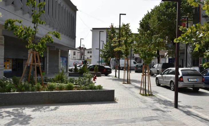 Sherr në Përmet, dy persona i dëmtojnë makinën një 19-vjeçari, nisin hetimet