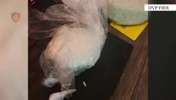 Shpërndante kokainë dhe hashash në qytet, arrestohet 36-vjeçari nga Lushnja