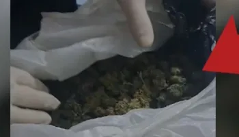 Shpërndante kokainë dhe kanabis në Lushnje, arrestohet 36-vjeçari