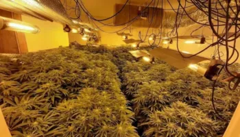 “Shtëpitë e barit” në Shkodër përplasin policinë me OSHEE-në: Po prangosen punonjësit në çdo aksion