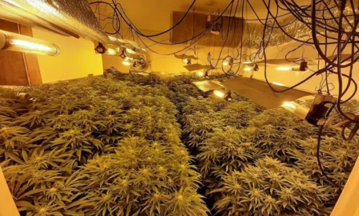 “Shtëpitë e barit” në Shkodër përplasin policinë me OSHEE-në: Po prangosen punonjësit në çdo aksion