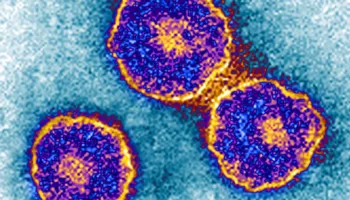 Shytat mund të rikthehen. Jo vetëm fruthi është në rritje