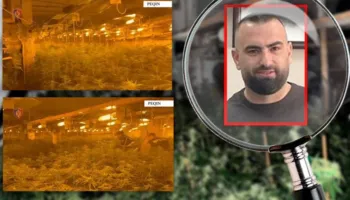 Si pularia e drejtorit të burgut u kthye në magazinë hashashi, Syri TV zbardh dëshminë e Bilal Hasës: Gjatë Covid-it, pulat…