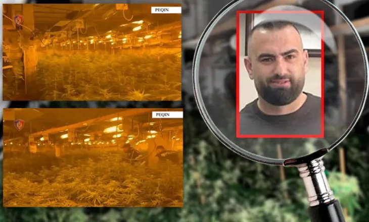 Si pularia e drejtorit të burgut u kthye në magazinë hashashi, Syri TV zbardh dëshminë e Bilal Hasës: Gjatë Covid-it, pulat…