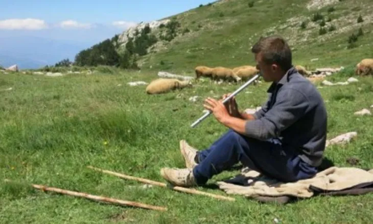 Si u prish miqësia e njeriut me gjarpnin