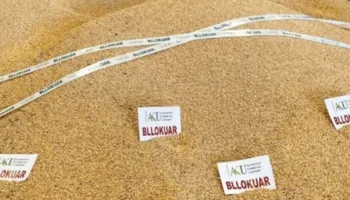 SKANDAL! 95 tonë misër me Aflatoksinë B1 / Inspektori i Përgjithshëm: Është shitur!