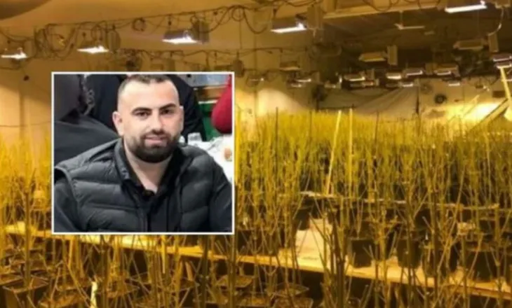 Skandal i rëndë/  Drejtori i burgut me “shtëpi bari” me mbi 4 mijë rrënjë, del në skenë edhe emri i Ballës