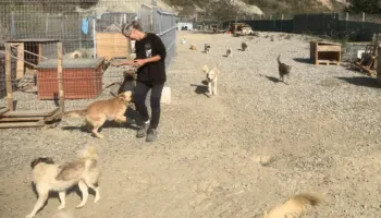 Streha e Bashkisë Tiranë: Nga vend shpëtimi në vatër sëmundjeje?