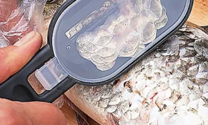 Studimi në Spanjë: Luspat e peshkut, një zgjidhje e re për riparimin e kornesë së syrit