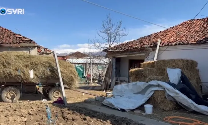 SYRI TV/ Zvirinë, blegtoria drejt tkurrjes, fermerët po heqin dorë nga ky sektor: Sakrifica pa leverdi