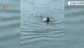 Tentoi të vetëmbytej në lumin Buna, forcat e policisë nxjerrin nga uji 59-vjeçaren në gjendje të rëndë