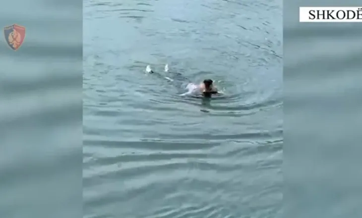 Tentoi të vetëmbytej në lumin Buna, forcat e policisë nxjerrin nga uji 59-vjeçaren në gjendje të rëndë